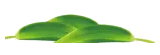 QQ图片20160608101014.png